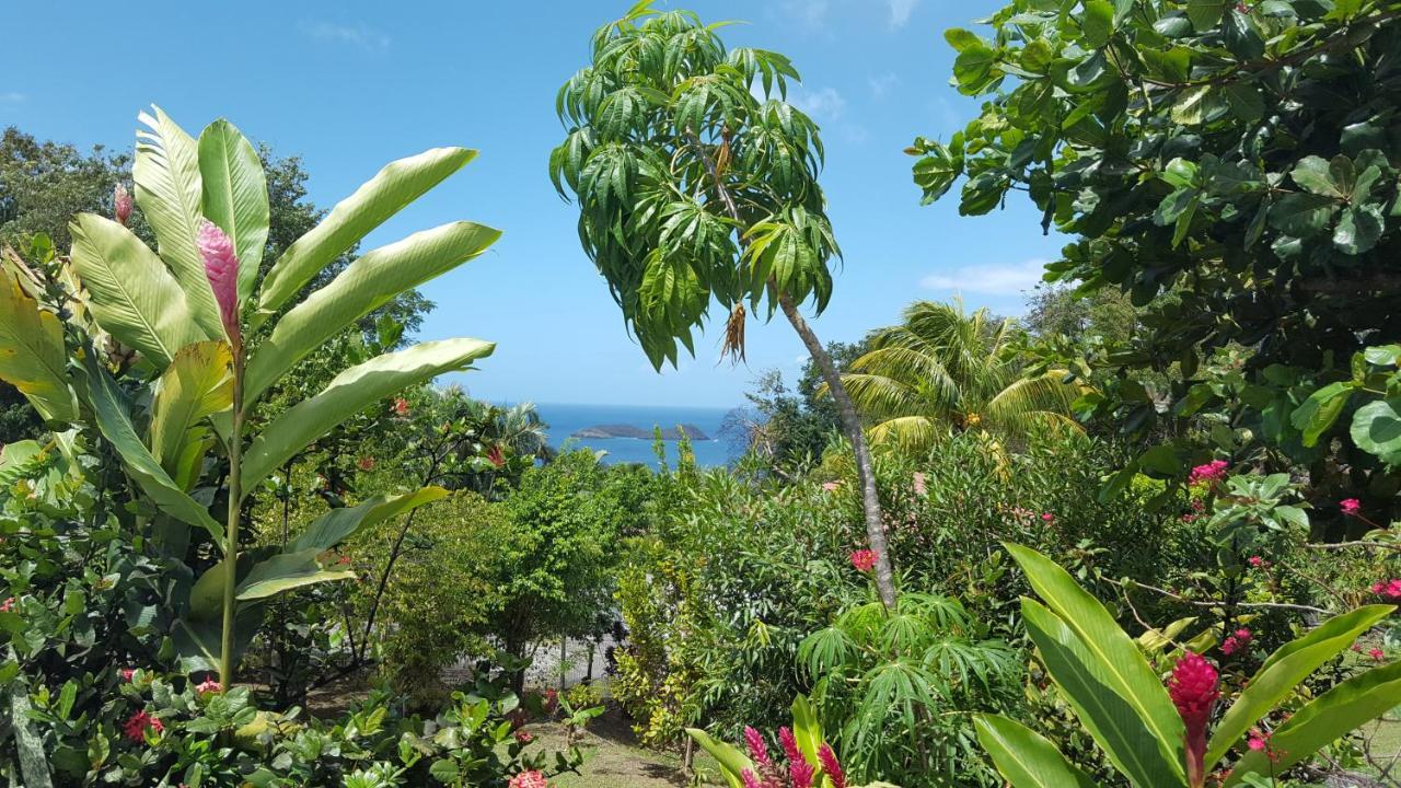 Vacances Bien Etre Guadeloupe Bouillante Luaran gambar