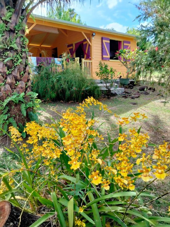 Vacances Bien Etre Guadeloupe Bouillante Luaran gambar