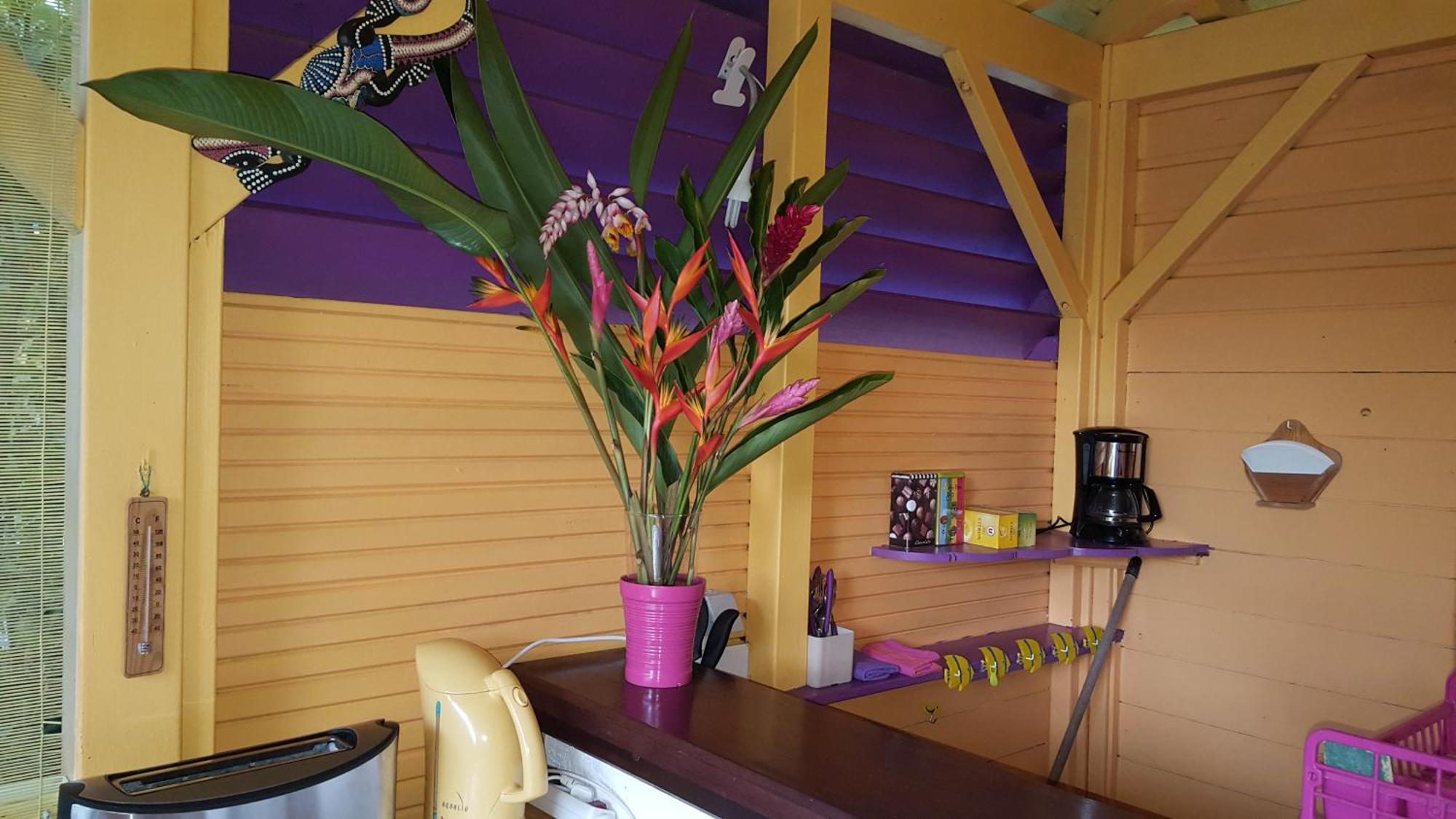 Vacances Bien Etre Guadeloupe Bouillante Luaran gambar